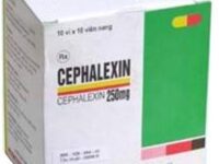 Cephalexin