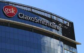 GlaxoSmithKline (GSK) a réuni des experts pour étudier le rôle des vaccins dans la protection des personnes contre les maladies et pour trouver des moyens de les rendre plus durables