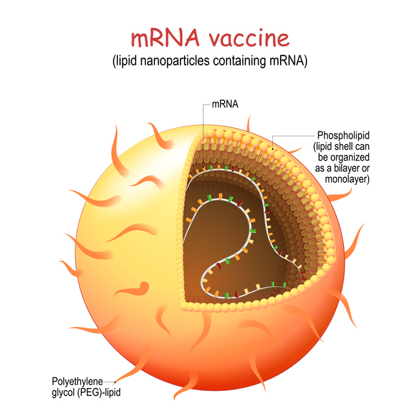 Révolutionner la distribution de vaccins grâce aux nanoparticules lipidiques contre les infections virales des poumons