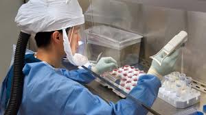 Nouvelle Découverte d'Anticorps Offrant de l'Espoir pour des Vaccins contre la Grippe Plus Efficaces